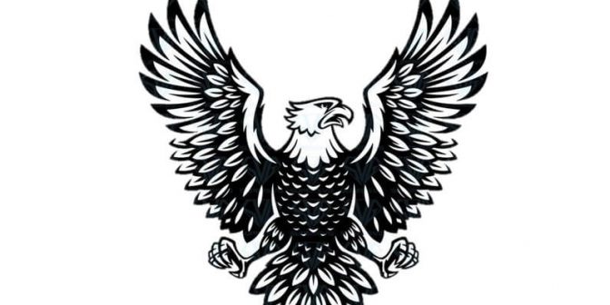 sketsa burung garuda