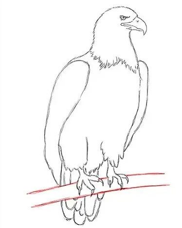 [137 Sketsa] Download Gambar untuk Belajar Mewarnai Anak-Anak