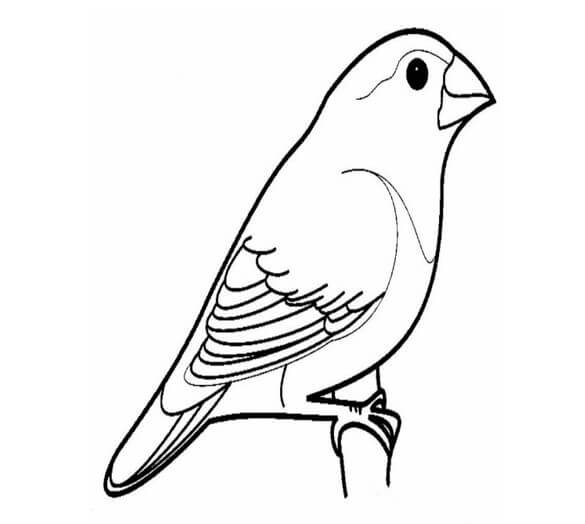 [137 Sketsa] Download Gambar untuk Belajar Mewarnai Anak-Anak