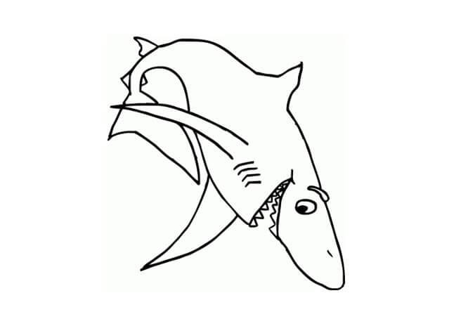 Sketsa ikan hiu bentuk kartun