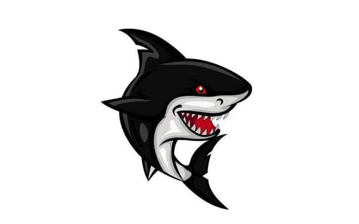 sketsa gambar ikan hiu