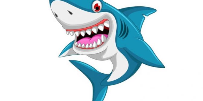 sketsa gambar ikan hiu