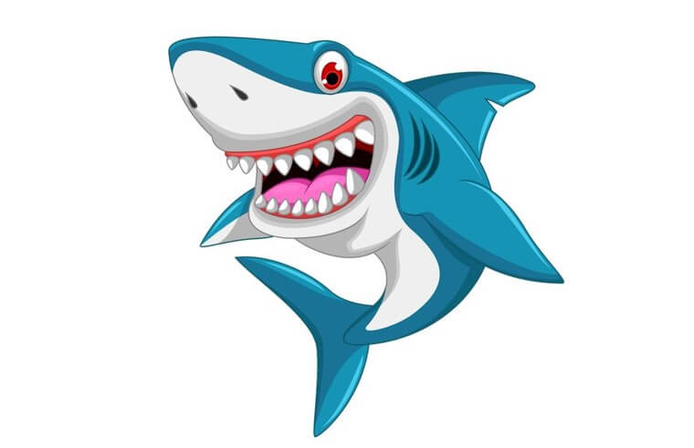 sketsa gambar ikan hiu