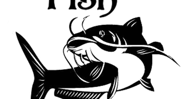sketsa gambar ikan lele