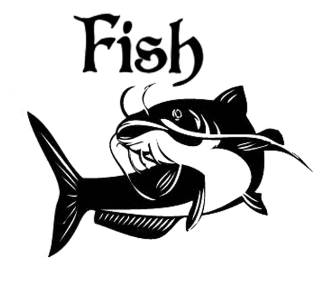 sketsa gambar ikan lele