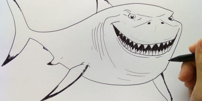 sketsa gambar ikan paus