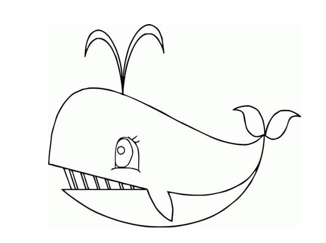 Download sketsa gambar ikan paus menggemaskan