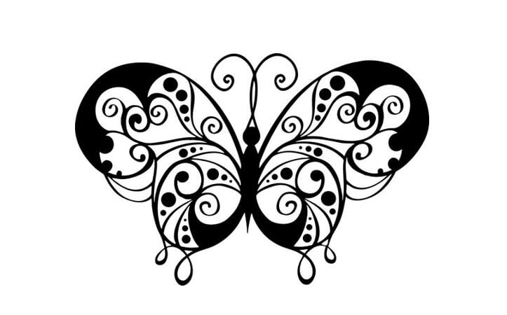 sketsa gambar kupu kupu terbang