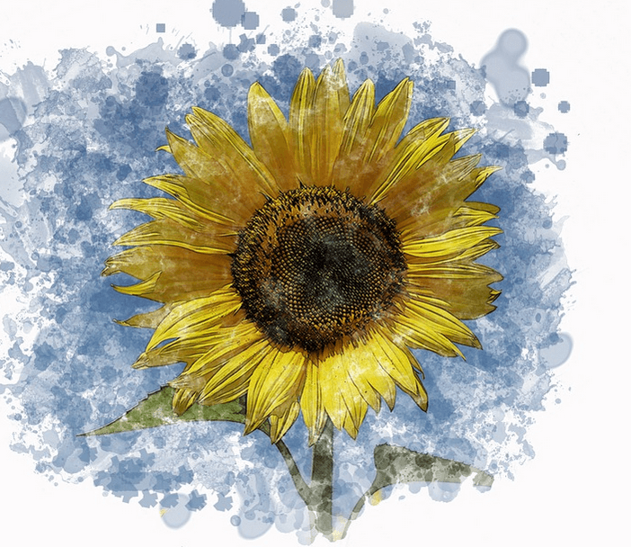 aplikasi android untuk menggambar