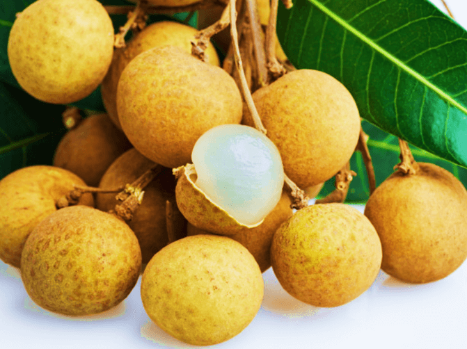 Buah Kelengkeng untuk Ibu Hamil