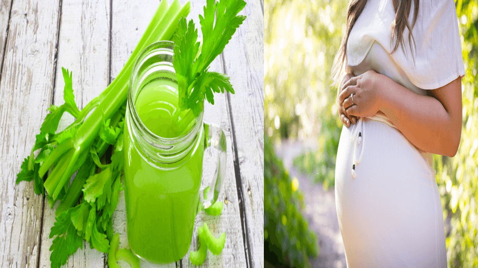 Daun Seledri untuk Ibu Hamil