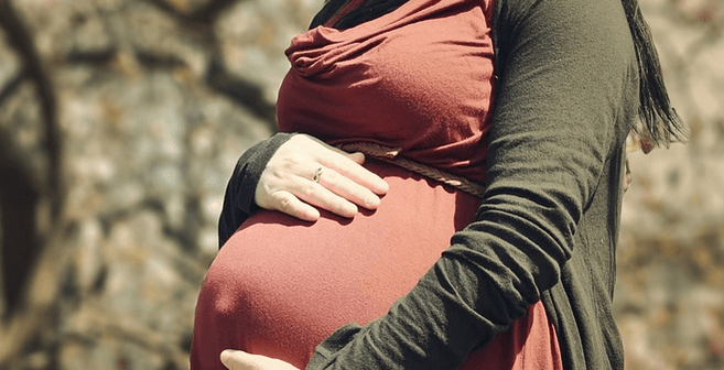 demam berdarah saat hamil