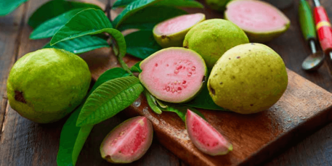 Jambu Biji untuk Ibu Hamil