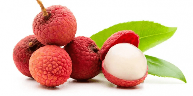 Leci untuk Kehamilan