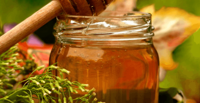 Madu untuk Ibu Hamil