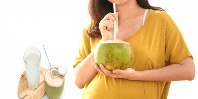 Manfaat Air Kelapa Muda bagi Ibu Hamil