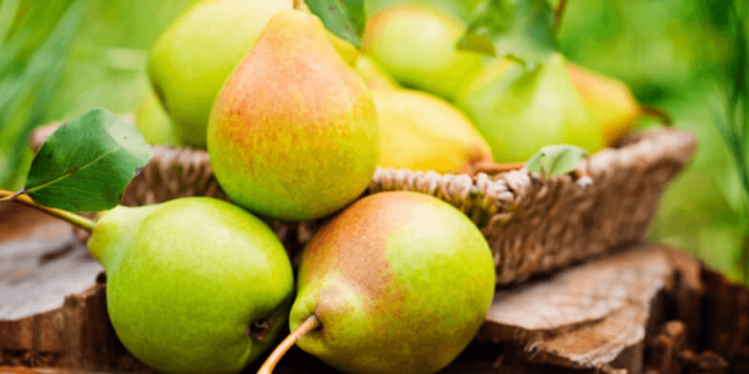 Manfaat Buah Pir untuk Ibu Hamil