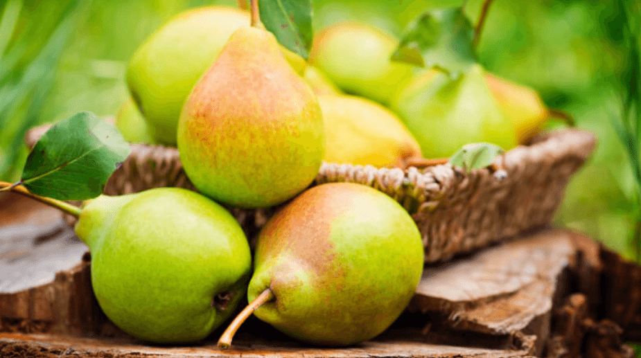 Manfaat Buah Pir untuk Ibu Hamil