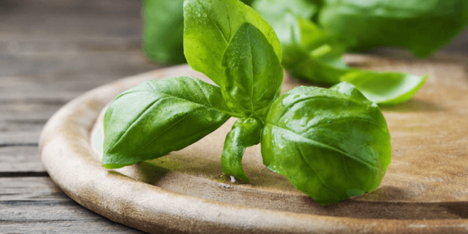 Obat Alami Asam Lambung pada Anak