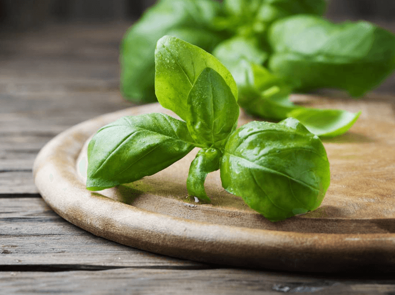 Obat Alami Asam Lambung pada Anak