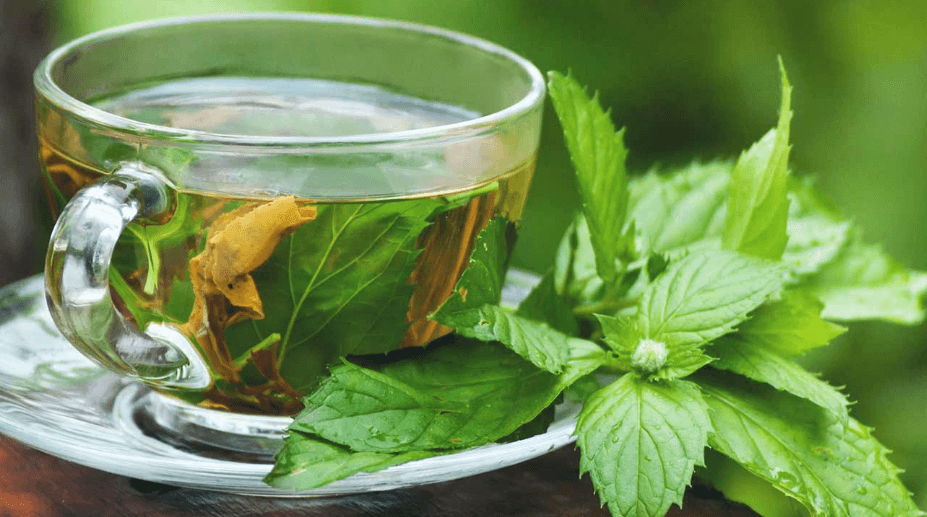Teh Herbal untuk Ibu Hamil