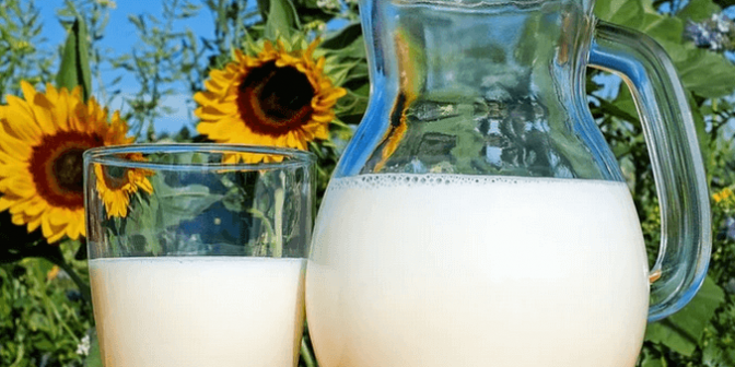 makanan sumber vitamin K