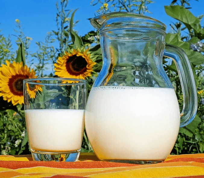 makanan sumber vitamin K