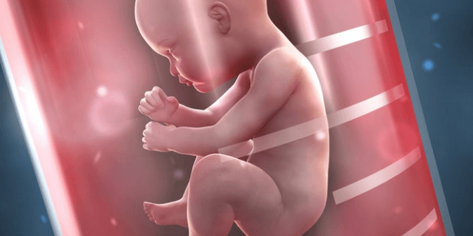 biaya program bayi tabung
