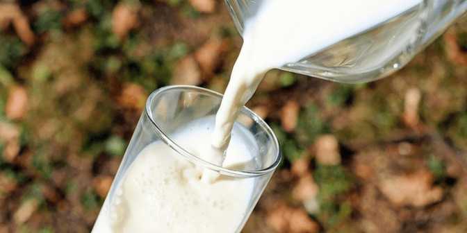 alergi protein susu sapi