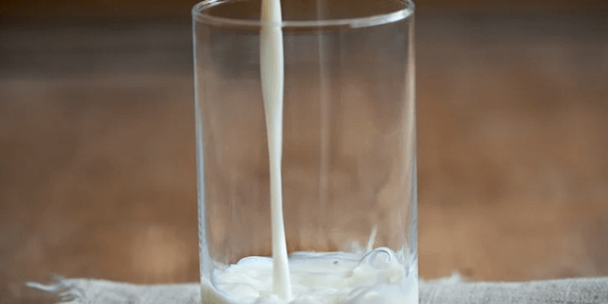 alergi protein susu sapi