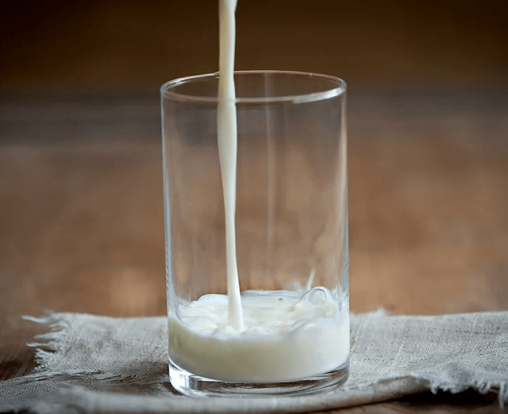 alergi protein susu sapi