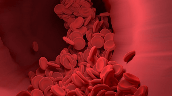 pendarahan saat hamil