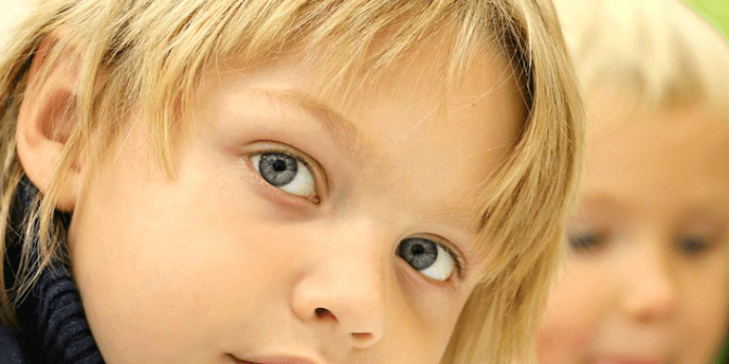 model sekolah hybrid