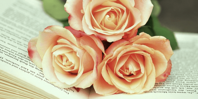 kata kata motivasi belajar