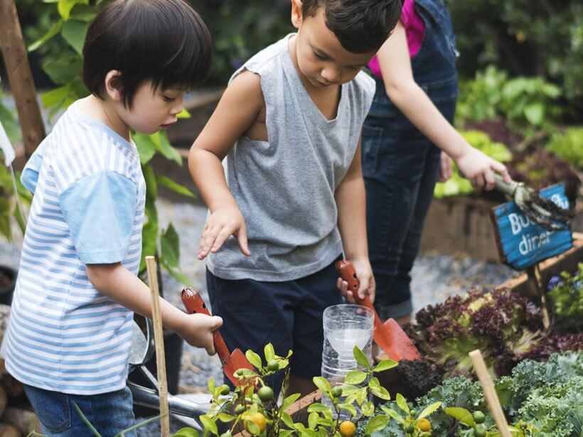 Mengajari Anak Berkebun