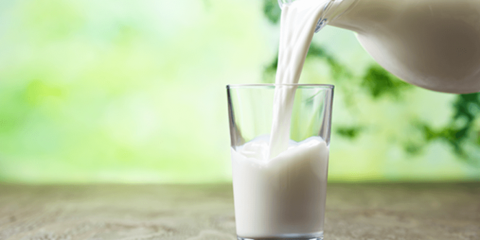 Susu untuk Program Hamil