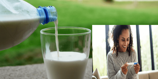 Susu untuk Program Hamil