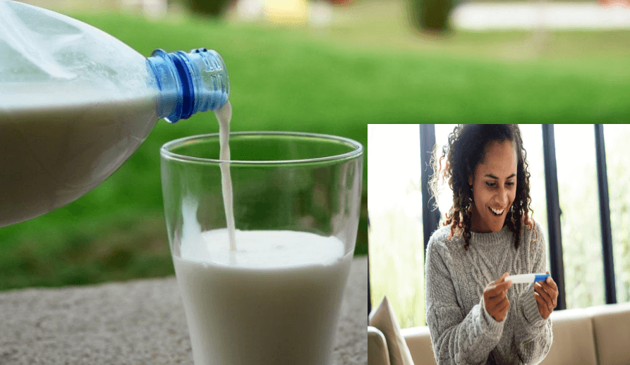 Susu untuk Program Hamil