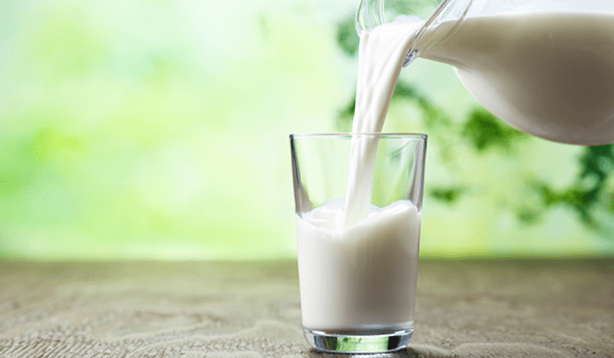 Susu untuk Program Hamil