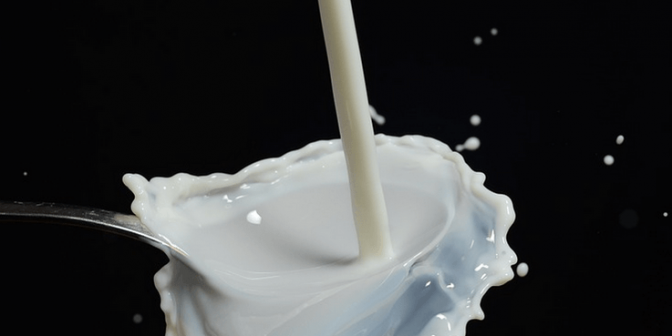 susu organik untuk anak