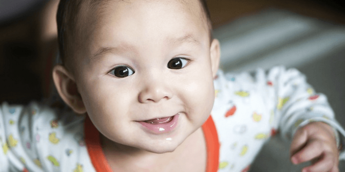 biaya program bayi tabung