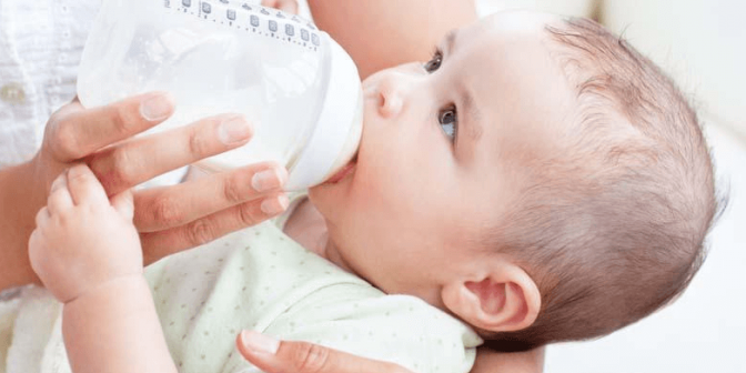 susu kambing untuk bayi