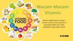 Macam-Macam Vitamin