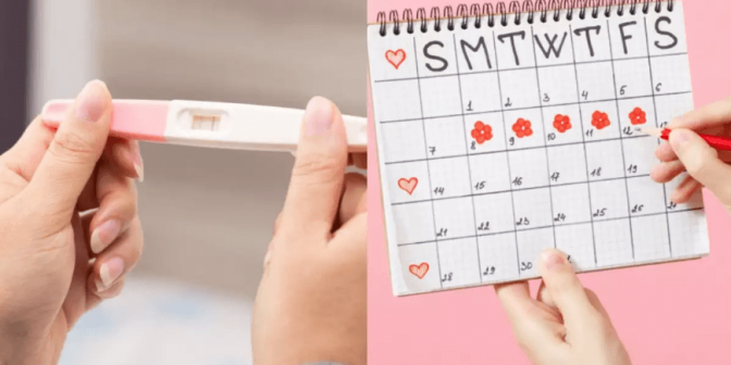 Menghitung Masa Subur Setelah Haid