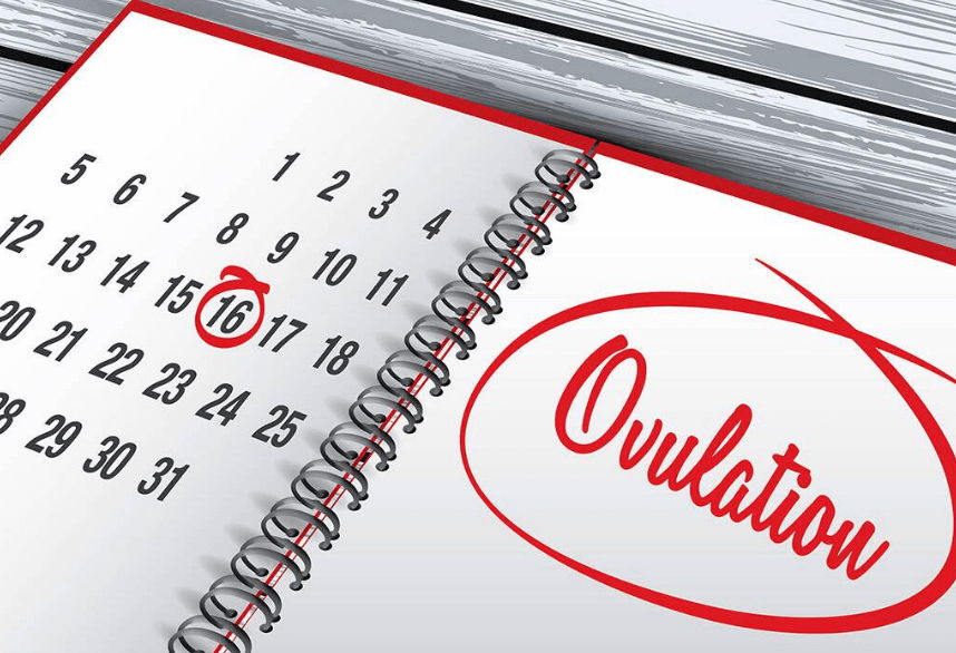 Menghitung Masa Subur Setelah Haid