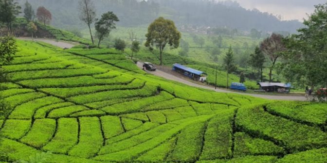 Pemandian air panas ciwalini