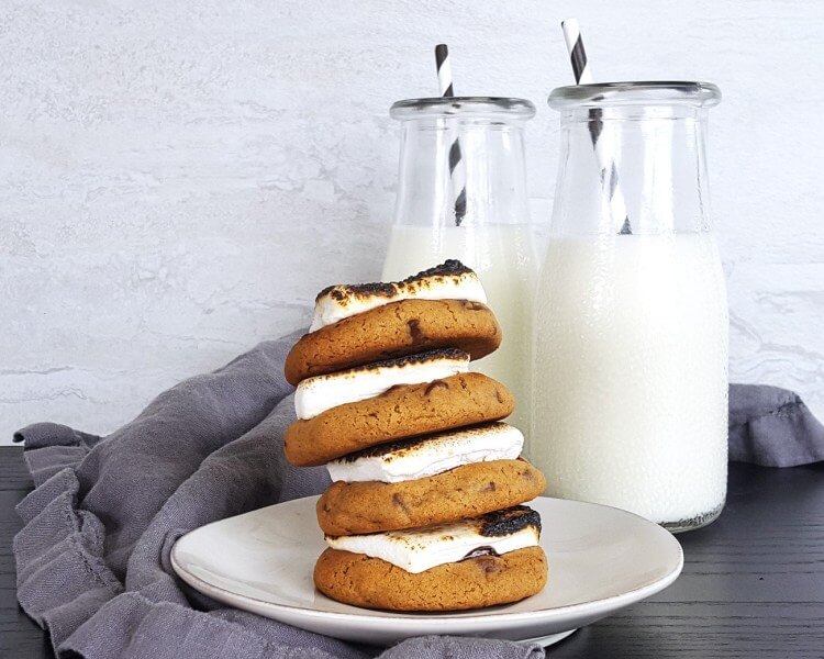 Kandungan Gula Dalam Susu formula