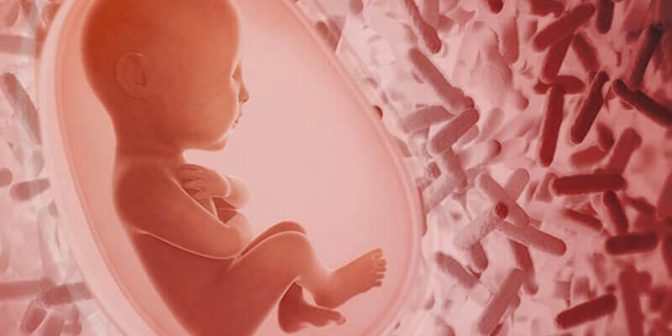 Kehamilan Minggu Ke 7