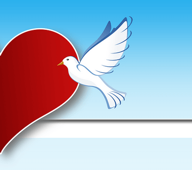 sketsa gambar burung merpati