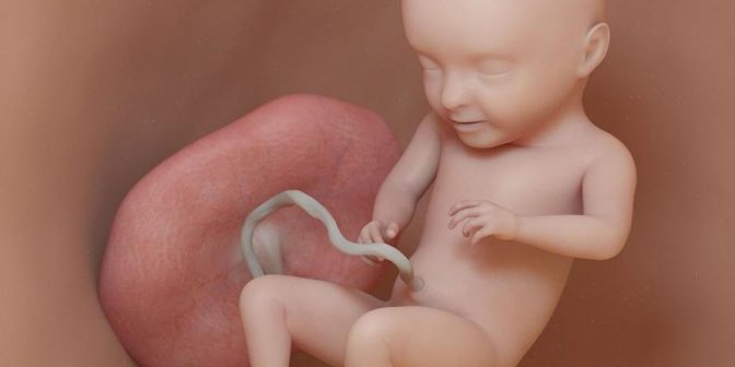 Janin Tidak Bergerak